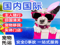 鞍山腾鳌国际宠物托运 【国